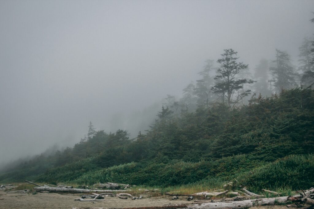 Tofino: When The Weather Outside Is Frightful, Pack with Purpose