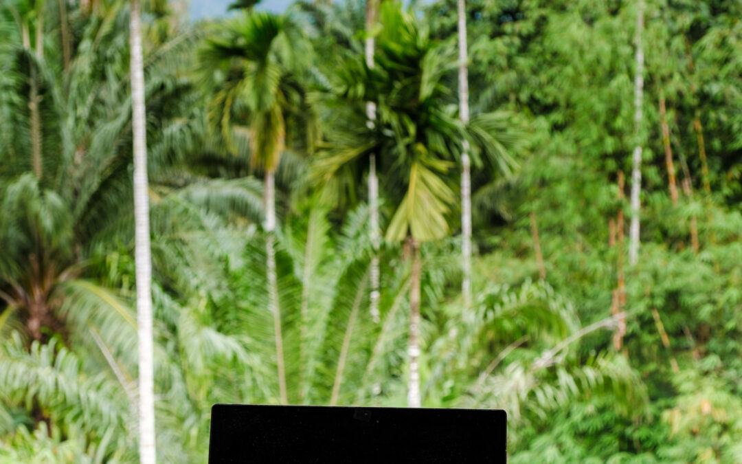 Elevate Your Nomadic Lifestyle with Sustainable Travel Practices