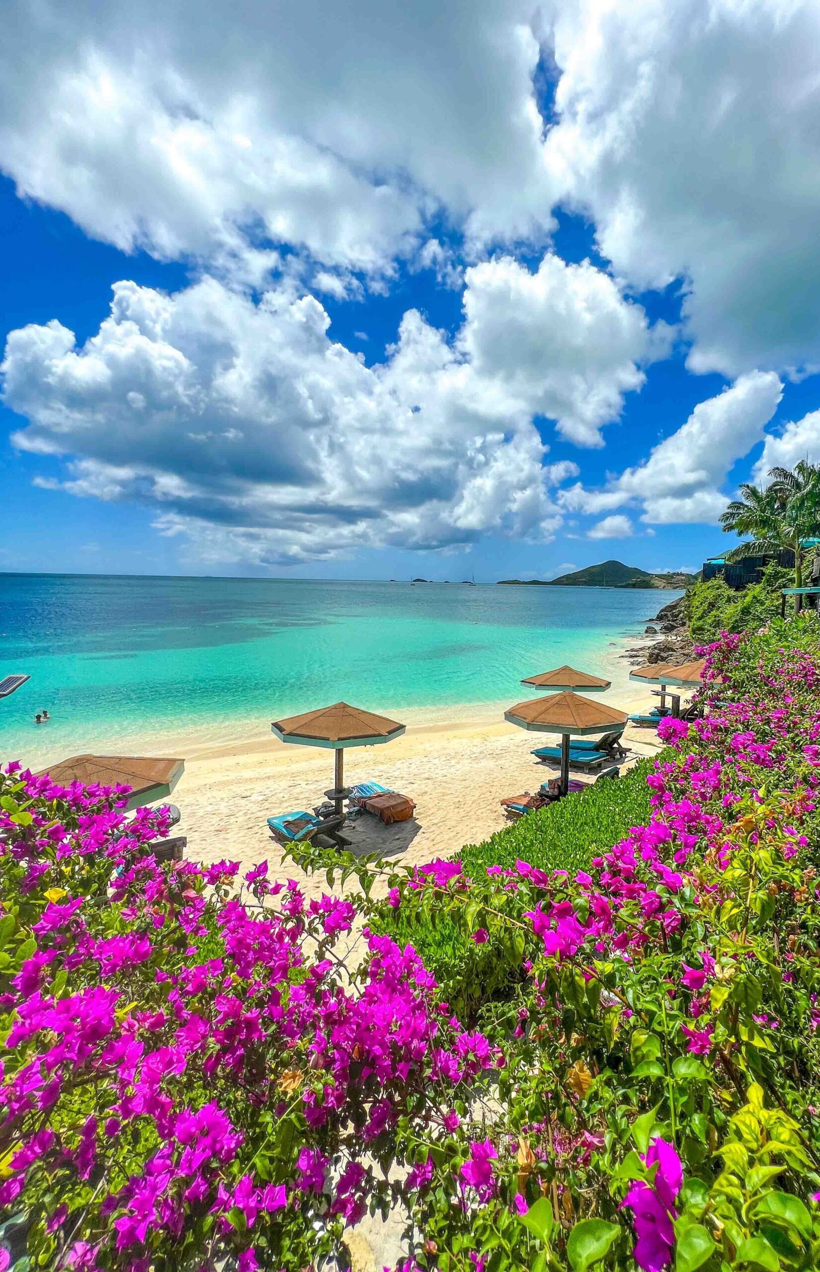 Loungers and umbrellas on a calm beach framed by bougainvillea at Cocos Hotel Antigua