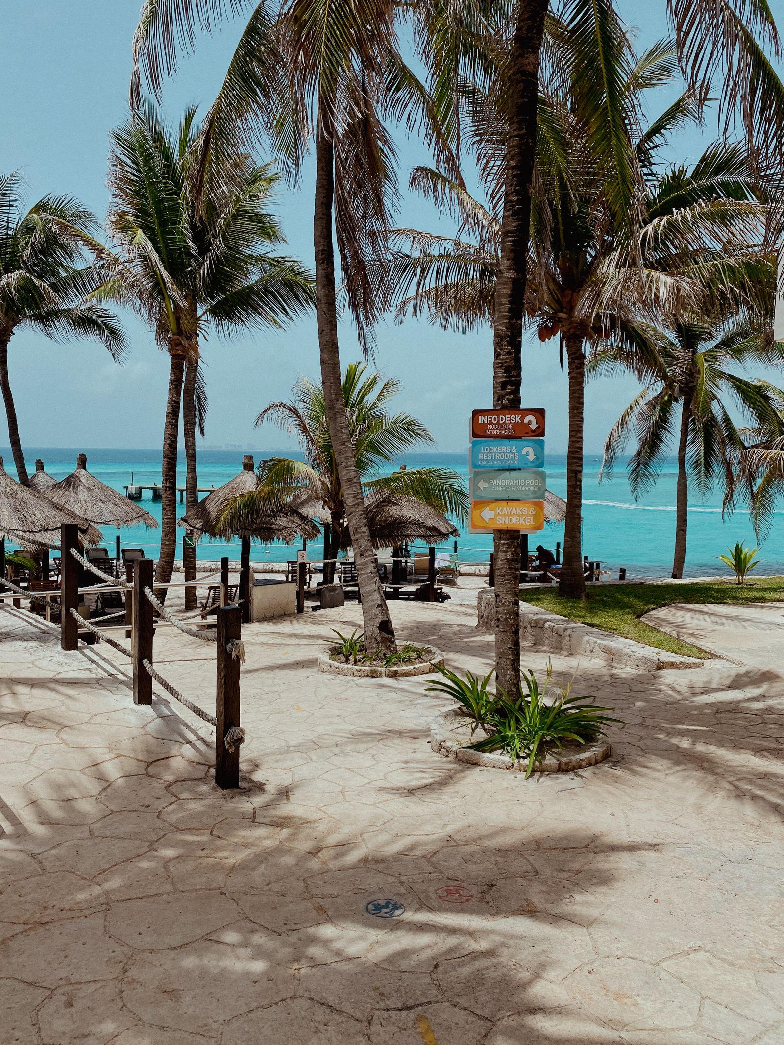 Palm trees over shallow turquoise water on Isla Mujeres, Mexico