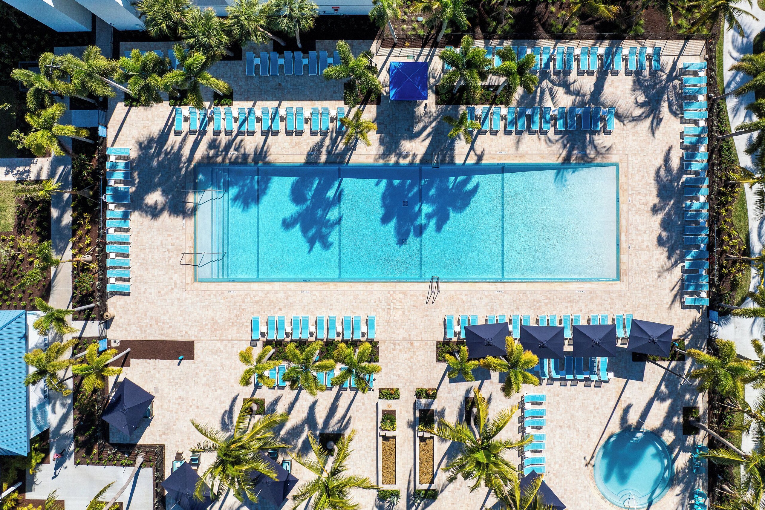 Overhead view of the voco Sandpiper pool lined with blue loungers, umbrellas, and palm trees