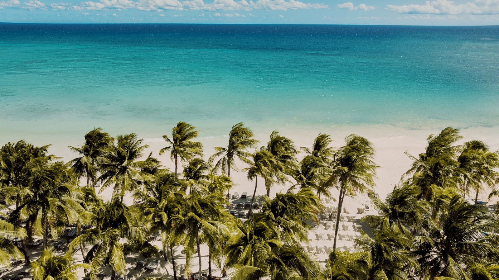 Xpu-Ha beach in front of the resort with palm trees and clear water